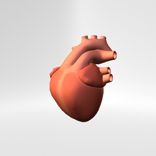 web AR XR+ Human heart
